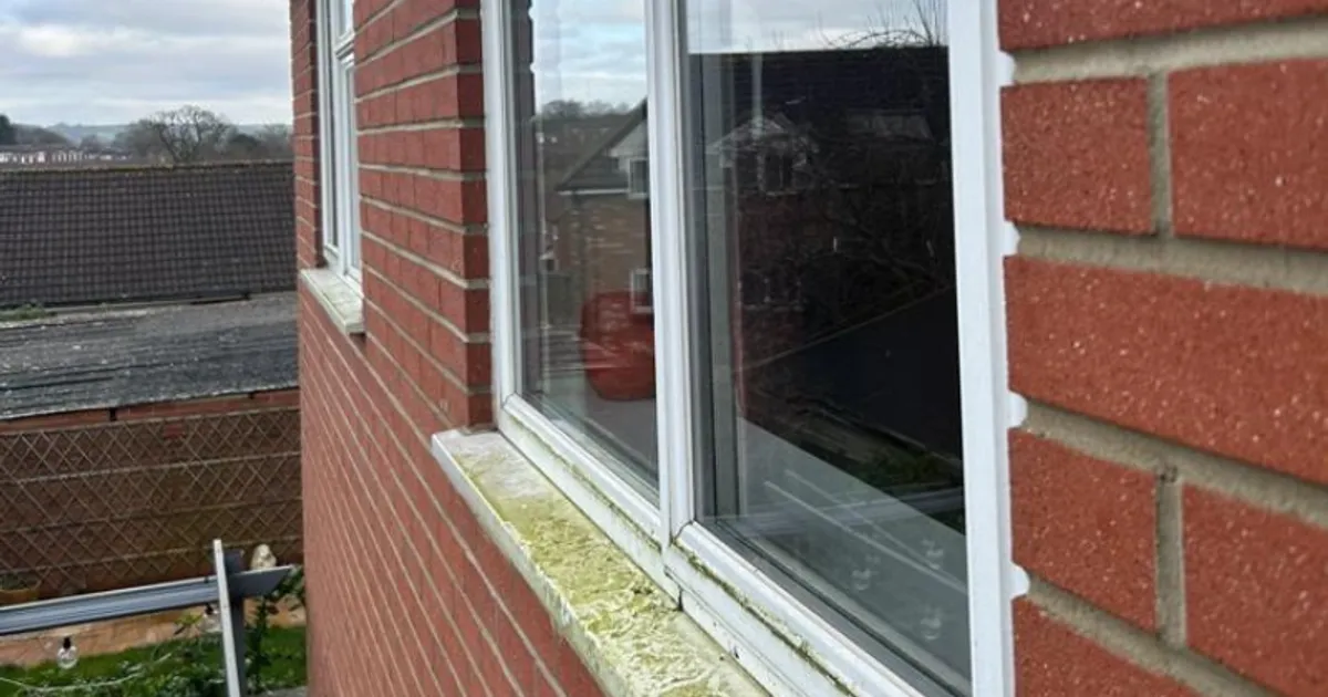 How to Choose a Window Cleaner in Yeovil: Red Flags, Questions to Ask, and What to Expect