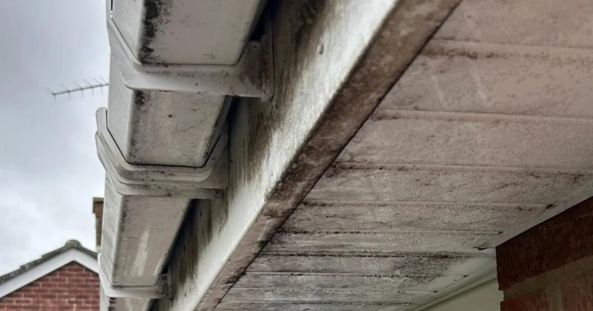 How Often Should You Schedule Exterior Cleaning in Yeovil? A Seasonal Guide