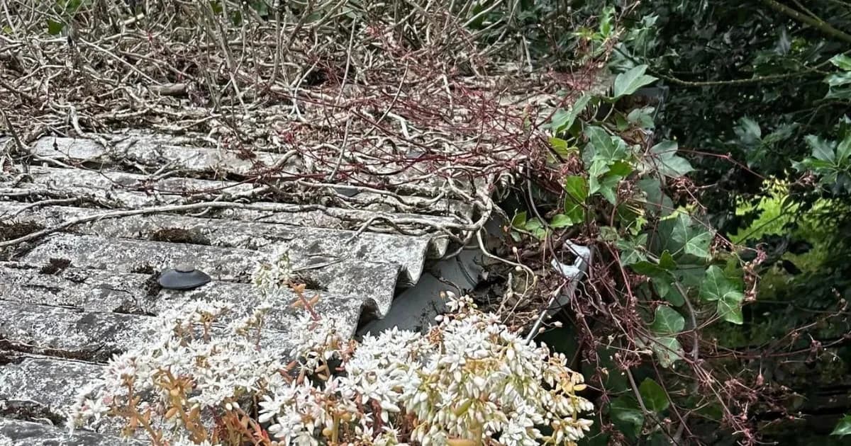 The Complete Guide to Fascia and Soffit Cleaning in Yeovil: Protecting Your Home from Damage