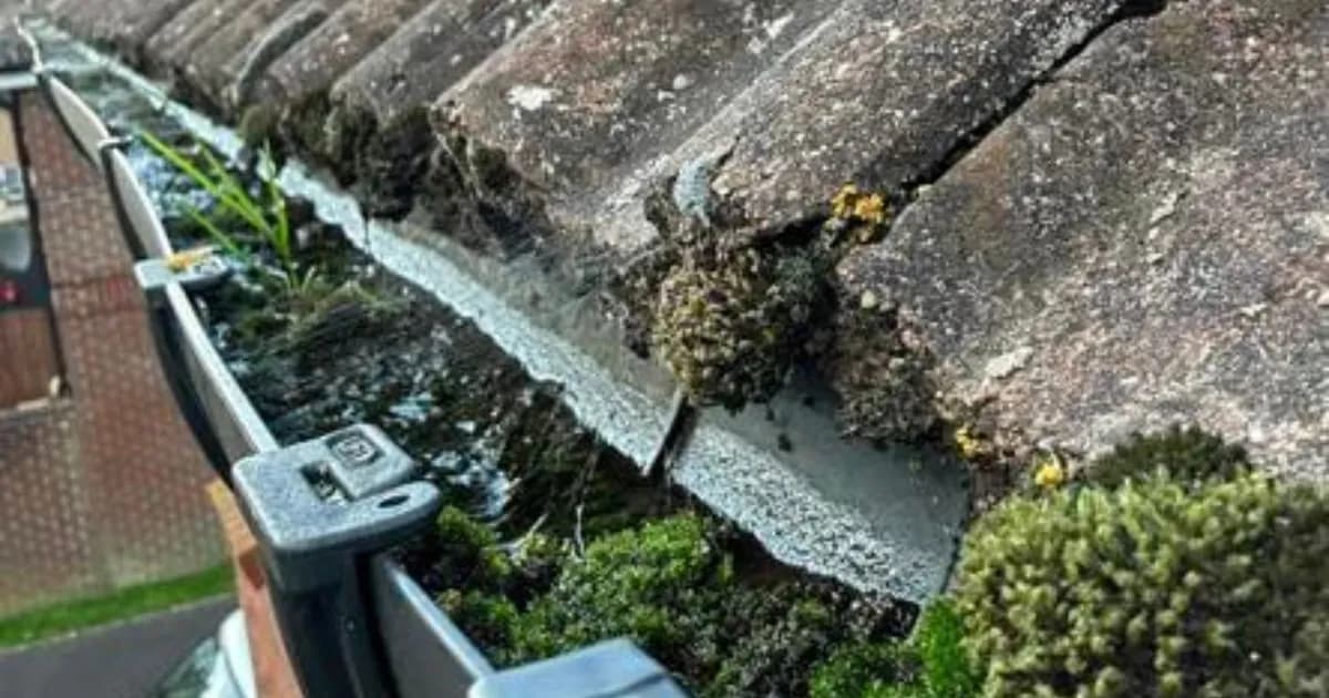 Soffit and Fascia Repair in Yeovil: A Complete Guide to Protecting Your Home