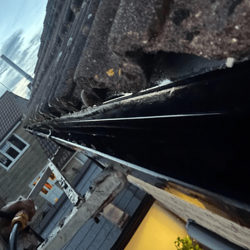 After Gutter Cleaning